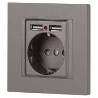 Розетка 1-м СП Accent 6-410-09 16А IP20 250В P+E Schuko + 2хUSB защ. шторки титан Intro Б0063711 ТехноИмпульс