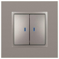 Выключатель 2-кл. Elegance 14-1105-16 250В 10АХ с подсветкой титан Эра Б0065789 ТехноИмпульс