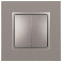 Переключатель 2-кл. Elegance 14-1106-16 250В 10АХ титан Эра Б0065793 ТехноИмпульс