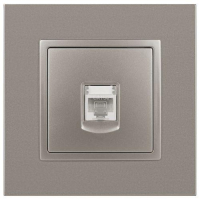 Розетка компьютерная Elegance 14-3107-16 RJ45 титан Эра Б0065764 ТехноИмпульс