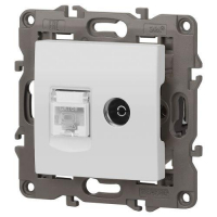 Розетка компьютерная + телевизионная Elegance 14-3110-01М RJ45+TV матов. бел. Эра Б0065767 ТехноИмпульс