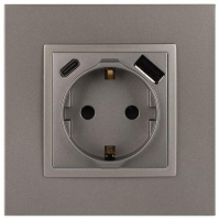 Розетка Elegance 14-4108-16 16A 250В 2P+E защ. шторки с USB type-A+C 3А 5В титан Эра Б0067695 ТехноИмпульс