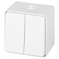 Переключатель Эксперт 11-1506-01 двойн. IP55 10АХ-250В ОУ бел. Эра Б0063295 ТехноИмпульс