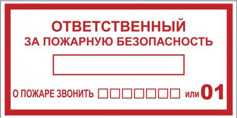 Наклейка "Ответственный за пожарную безопасность" B03 100х200мм PROxima EKF an-4-05 ТехноИмпульс
