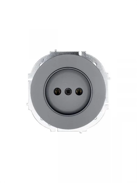 Розетка 1-м СП OSEN без заземл. ПБТ механизм сер. матов. LEZARD 743-7488-121B ТехноИмпульс