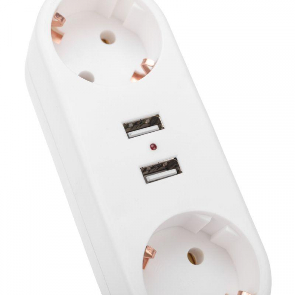 Двойник электрический линейный 16А с/з+2 USB-порта 2.4А бел. Rexant 11-1090 ТехноИмпульс