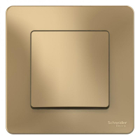Выключатель 1-кл. СП Blanca 10А IP20 (сх. 1) 250В титан SE BLNVS010104 ТехноИмпульс