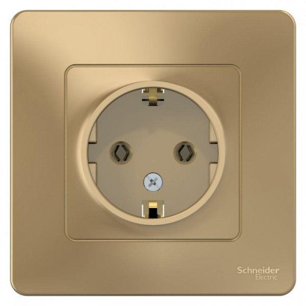 Розетка 1-м СП Blanca 16А IP20 250В с заземл. без защ. шторок титан SE BLNRS001014 ТехноИмпульс