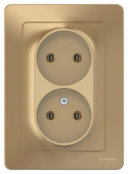 Розетка 2-м СП Blanca 16А IP20 250В без заземл. без защ. шторок титан SE BLNRS000024 ТехноИмпульс