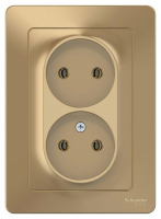 Розетка 2-м СП Blanca 16А IP20 250В без заземл. без защ. шторок титан SE BLNRS000024 ТехноИмпульс