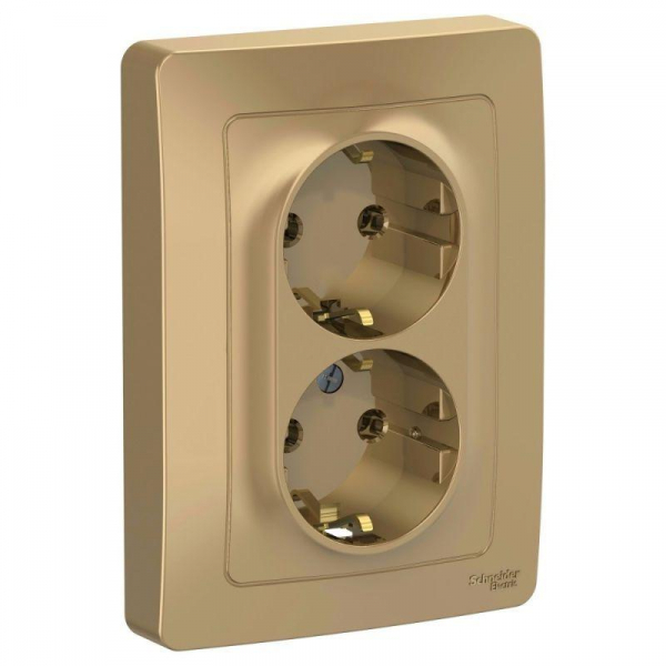 Розетка 2-м СП Blanca 16А IP20 250В с заземл. без защ. шторок титан SE BLNRS001024 ТехноИмпульс