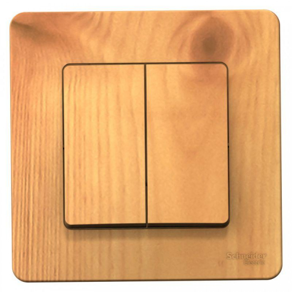 Выключатель 2-кл. СП Blanca 10А IP20 (сх. 5) 250В ясень SE BLNVS010505 ТехноИмпульс