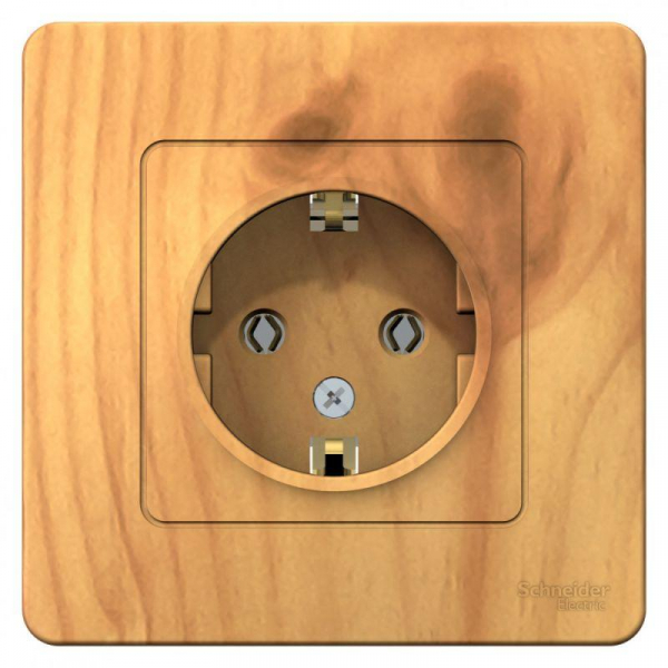 Розетка 1-м СП Blanca 16А IP20 250В с заземл. без защ. шторок ясень SE BLNRS001015 ТехноИмпульс