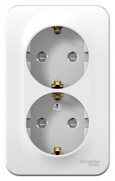 Розетка 2-м ОП Blanca 16А IP20 250В с заземл. защ. шторки бел. SE BLNRA011201 ТехноИмпульс