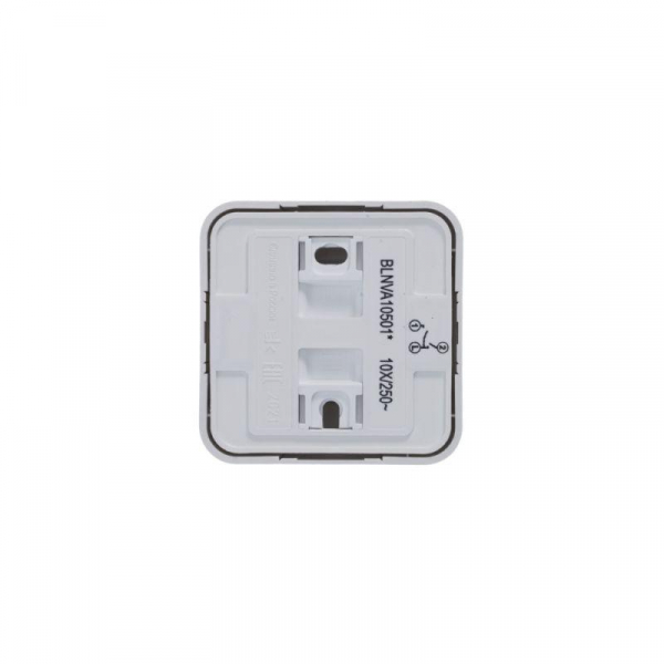 Выключатель 2-кл. ОП Blanca 10А IP20 (сх. 5) 250В с изолир. пластиной бел. SE BLNVA105011 ТехноИмпульс