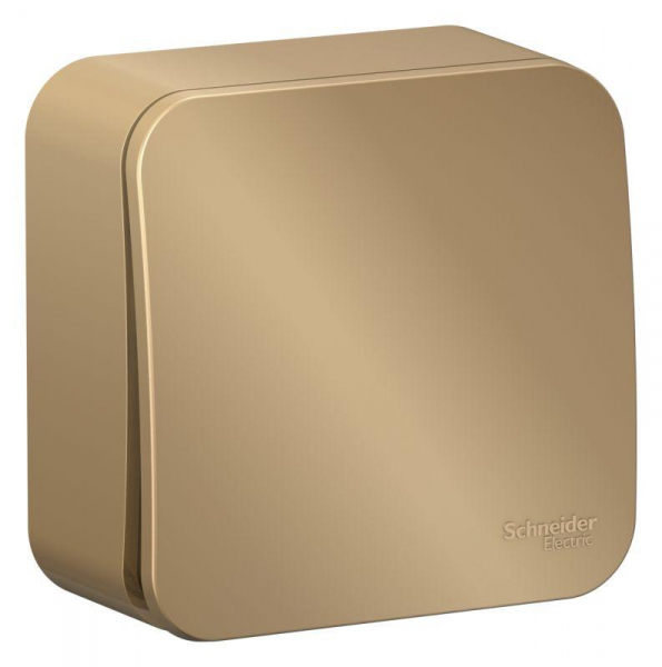 Выключатель 1-кл. ОП Blanca 10А IP20 (сх. 1) 250В с изолир. пластиной титан SE BLNVA101014 ТехноИмпульс