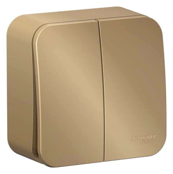 Выключатель 2-кл. ОП Blanca 10А IP20 (сх. 5) 250В с изолир. пластиной титан SE BLNVA105014 ТехноИмпульс