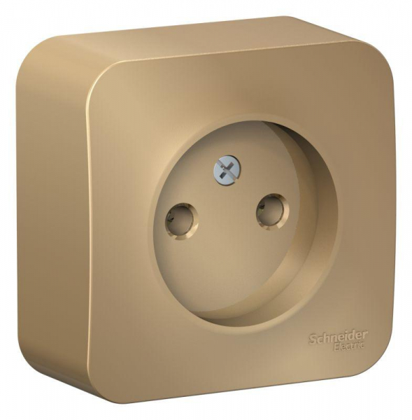 Розетка 1-м ОП Blanca 16А IP20 250В без заземл. без защ. шторок с изолир. пластиной титан SE BLNRA000114 ТехноИмпульс