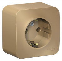 Розетка 1-м ОП Blanca 16А IP20 250В с заземл. без защ. шторок с изолир. пластиной титан SE BLNRA010114 ТехноИмпульс