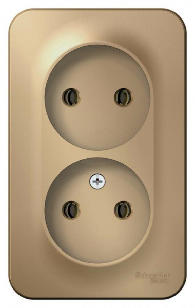 Розетка 2-м ОП Blanca 16А IP20 250В без заземл. без защ. шторок с изолир. пластиной титан SE BLNRA000214 ТехноИмпульс