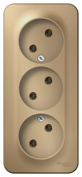 Розетка 3-м ОП Blanca 16А IP20 250В без заземл. без защ. шторок с изолир. пластиной титан SE BLNRA000314 ТехноИмпульс