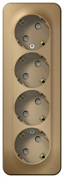 Розетка 4-м ОП Blanca 16А IP20 250В с заземл. защ. шторки с изолир. пластиной титан SE BLNRA011414 ТехноИмпульс