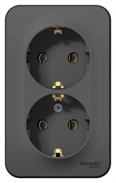 Розетка 2-м ОП Blanca 16А IP20 250В с заземл. без защ. шторок антрацит SE BLNRA010206 ТехноИмпульс