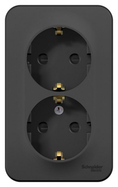 Розетка 2-м ОП Blanca 16А IP20 250В с заземл. защ. шторки антрацит SE BLNRA011206 ТехноИмпульс