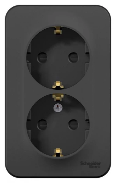 Розетка 2-м ОП Blanca 16А IP20 250В с заземл. защ. шторки антрацит SE BLNRA011206 ТехноИмпульс
