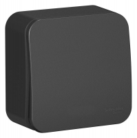 Выключатель 1-кл. ОП Blanca 10А IP20 (сх. 1) 250В с подсветкой с изолир. пластиной антрацит SE BLNVA101116 ТехноИмпульс