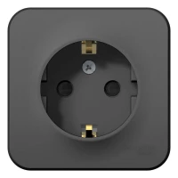 Розетка 1-м ОП Blanca 16А IP20 250В с заземл. защ. шторки с изолир. пластиной антрацит SE BLNRA011116 ТехноИмпульс