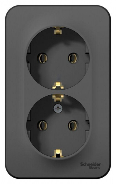 Розетка 2-м ОП Blanca 16А IP20 250В с заземл. без защ. шторок с изолир. пластиной антрацит SE BLNRA010216 ТехноИмпульс