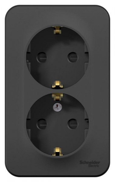 Розетка 2-м ОП Blanca 16А IP20 250В с заземл. защ. шторки с изолир. пластиной антрацит SE BLNRA011216 ТехноИмпульс