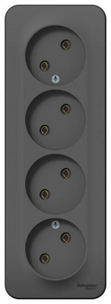 Розетка 4-м ОП Blanca 16А IP20 250В без заземл. без защ. шторок с изолир. пластиной антрацит SE BLNRA000416 ТехноИмпульс