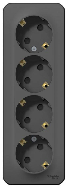 Розетка 4-м ОП Blanca 16А IP20 250В с заземл. защ. шторки с изолир. пластиной антрацит SE BLNRA011416 ТехноИмпульс