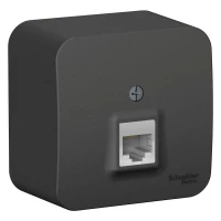 Розетка компьютерная 1-м ОП Blanca RJ45 кат.5E с изолир. пластиной антрацит SE BLNIA045006 ТехноИмпульс