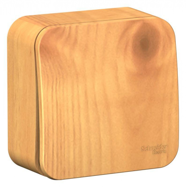 Выключатель 1-кл. ОП Blanca 10А IP20 (сх. 1) 250В с изолир. пластиной ясень SE BLNVA101015 ТехноИмпульс