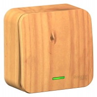 Выключатель 1-кл. ОП Blanca 10А IP20 (сх. 1) 250В с подсветкой с изолир. пластиной ясень SE BLNVA101115 ТехноИмпульс