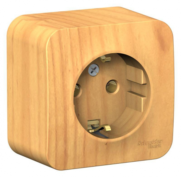 Розетка 1-м ОП Blanca 16А IP20 250В с заземл. без защ. шторок с изолир. пластиной ясень SE BLNRA010115 ТехноИмпульс