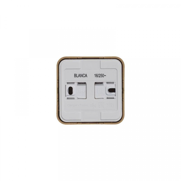 Розетка 1-м ОП Blanca 16А IP20 250В с заземл. защ. шторки с изолир. пластиной ясень SE BLNRA011115 ТехноИмпульс