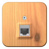 Розетка компьютерная 1-м ОП Blanca RJ45 кат.5E с изолир. пластиной ясень SE BLNIA045005 ТехноИмпульс