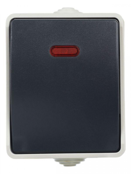 Выключатель проходной 1-кл. ОП Форс 10А IP54 ВС20-1-1-ФСр с индикацией сер. IEK EVS11-K03-10-54-DC ТехноИмпульс