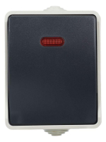 Выключатель проходной 1-кл. ОП Форс 10А IP54 ВС20-1-1-ФСр с индикацией сер. IEK EVS11-K03-10-54-DC ТехноИмпульс