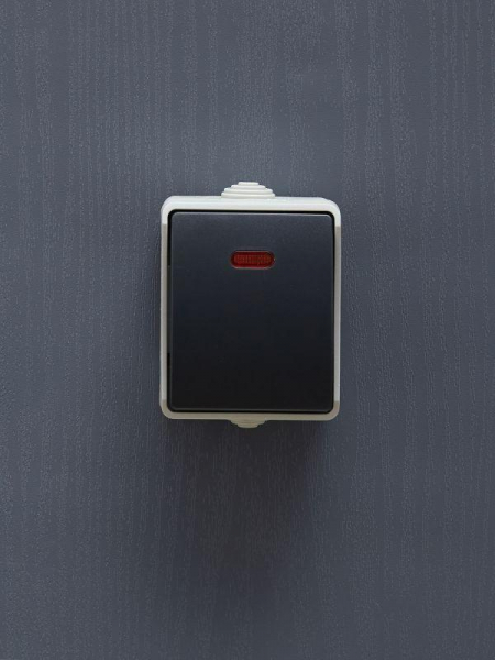 Выключатель проходной 1-кл. ОП Форс 10А IP54 ВС20-1-1-ФСр с индикацией сер. IEK EVS11-K03-10-54-DC ТехноИмпульс