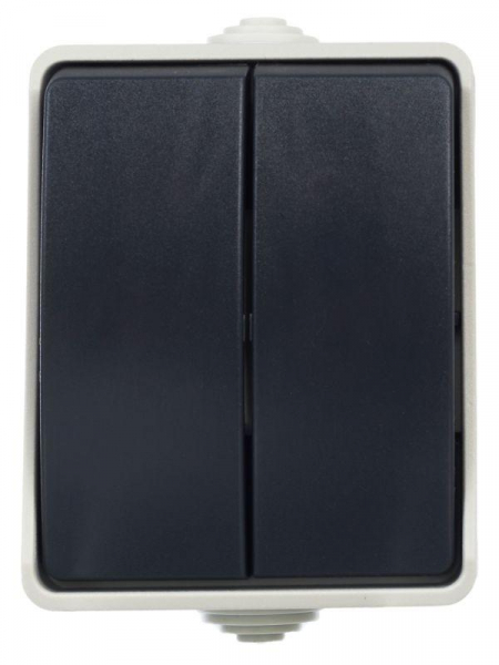 Выключатель 2-кл. ОП Форс 10А IP54 ВС20-2-0-ФСр сер. IEK EVS20-K03-10-54-DC ТехноИмпульс