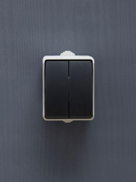 Выключатель 2-кл. ОП Форс 10А IP54 ВС20-2-0-ФСр сер. IEK EVS20-K03-10-54-DC ТехноИмпульс