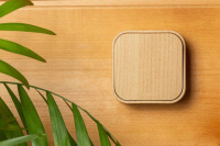 Переключатель проходной 1-кл. ОП Quteo 10А IP20 10AX дерево IEK 782264 ТехноИмпульс