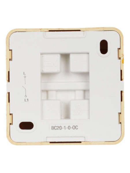 Выключатель 1-кл. ОП Октава 10А IP20 ВС20-1-0-ОС сосна GENERICA EVO10-K03-10-DC ТехноИмпульс