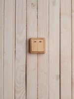 Выключатель 2-кл. ОП Октава 10А IP20 ВС20-2-1-ОС с индикацией сосна GENERICA EVO21-K03-10-DC ТехноИмпульс