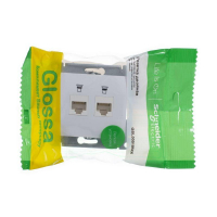 Розетка компьютерная 2-м Glossa RJ45 кат.5E механизм бел. SE GSL000185KK ТехноИмпульс